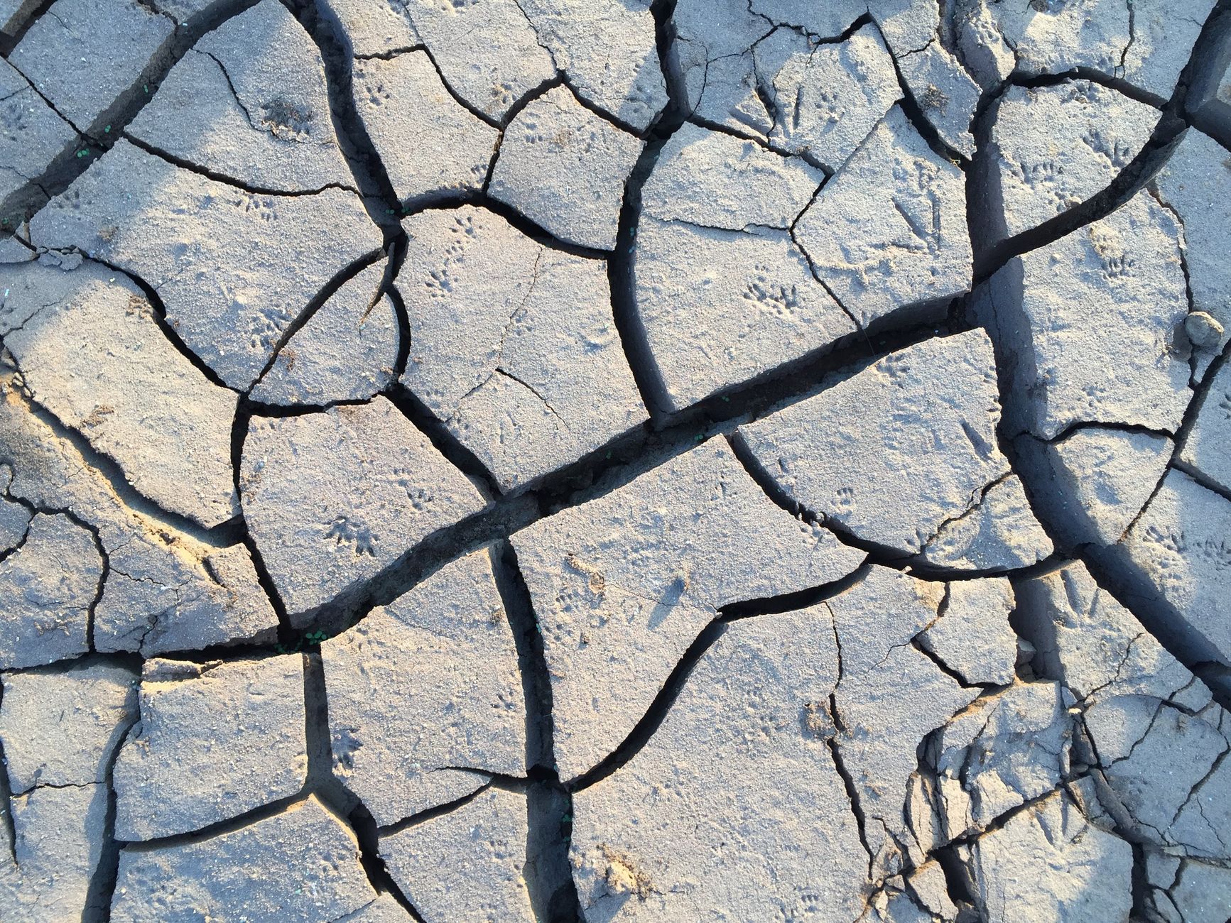 Maharashtra drought emergency