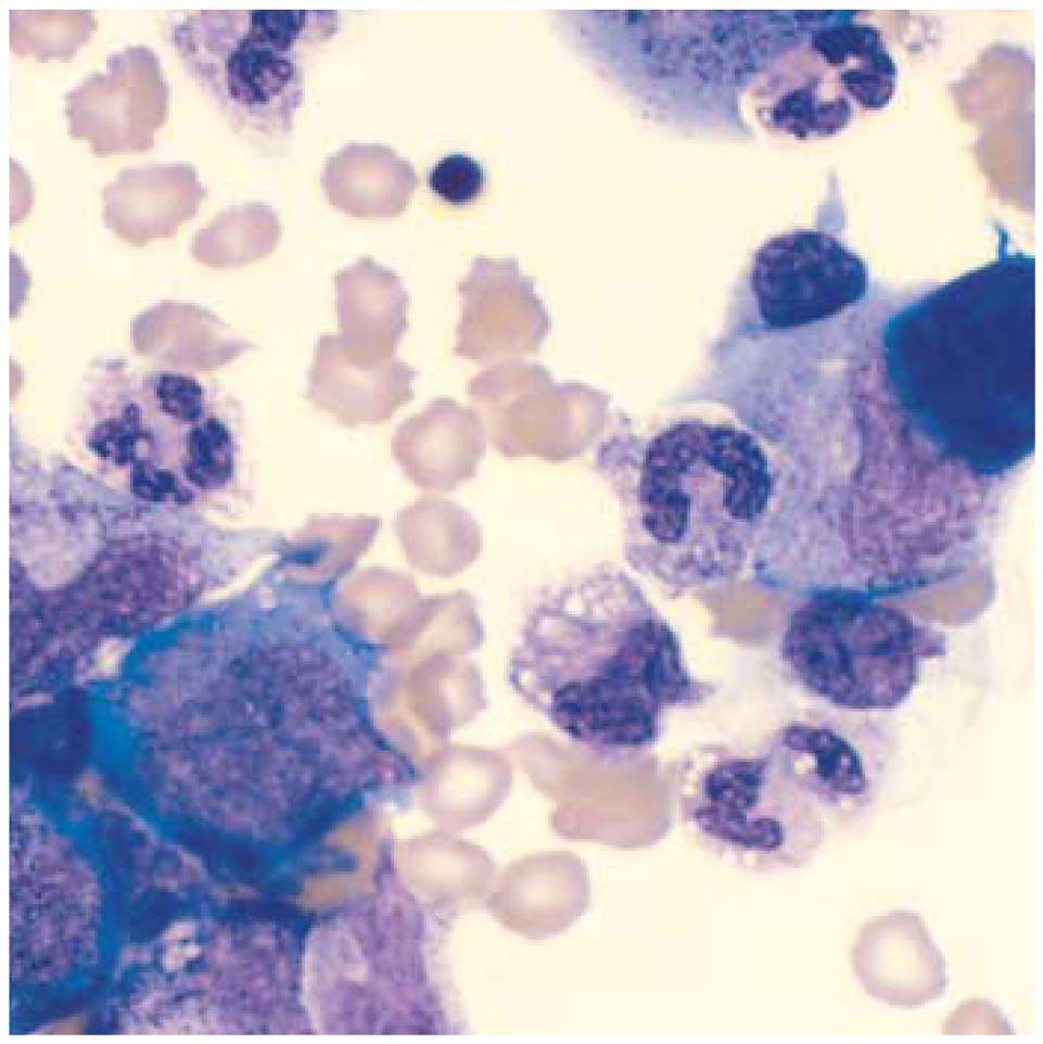 anti-cancer medicines