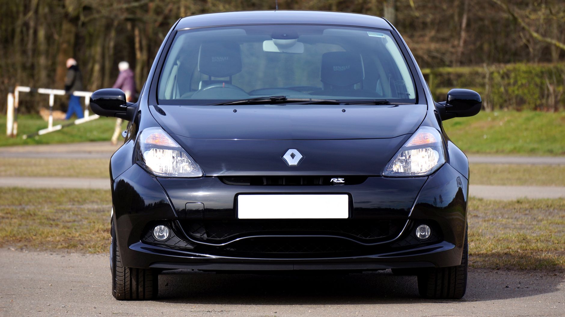 Renault hybrids market share